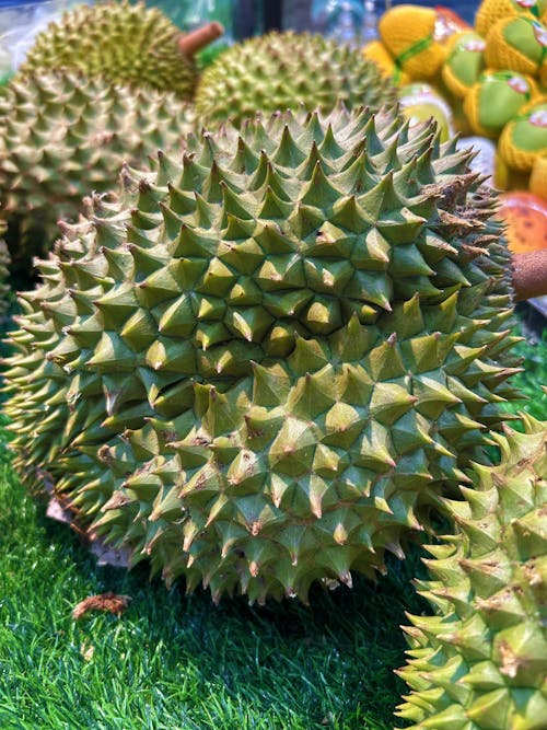 Durian